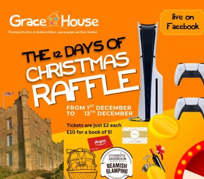 Read more about Join our 12 Days of Christmas Raffle!