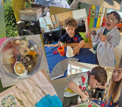 Read more about Inclusive Summer Activities for Children and Young People at Grace House